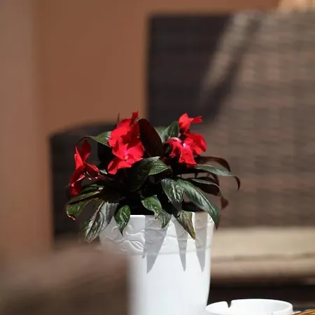 Sunbreeze Apartment *